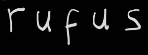 logo (possible)